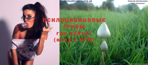 спайс Горнозаводск
