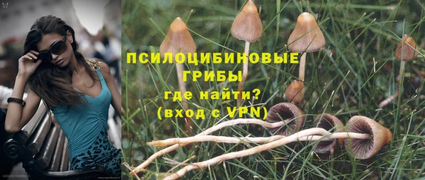 mix Сосновый Бор