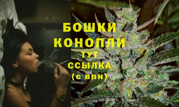 сатива Горно-Алтайск