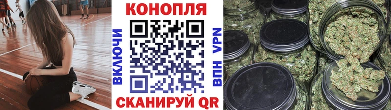 Каннабис план закладка Гагарин